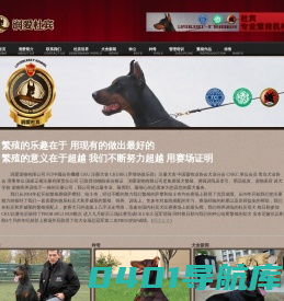 杜宾犬 德系杜宾 杜宾犬舍 赛级杜宾 —-青岛润爱犬业