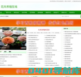 花卉养殖经验-家养花卉植物知识、绿植繁殖技巧、鲜花花语大全