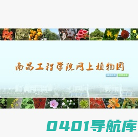 网上植物园