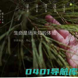 深圳市大慈小孝文化科技有限公司