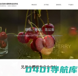 烟台大樱桃,烟台大樱桃树苗,烟台大樱桃苗木合作社,烟台兄弟大樱桃专业合作社