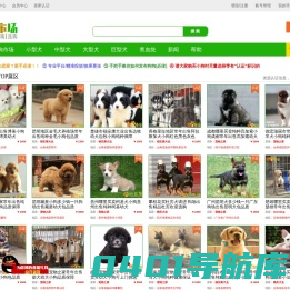 狗市场网—买狗卖狗看狗选狗来狗市场！