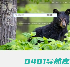 易云必应壁纸 每日历史壁纸查看