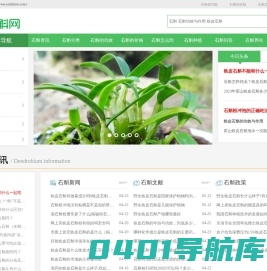 中国石斛网 - 霍山石斛_铁皮石斛_石斛的价格_石斛多少钱一斤_石斛的功效和作用