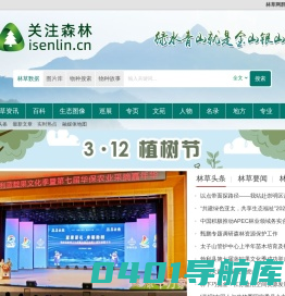 关注森林