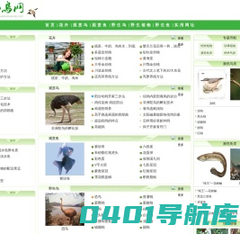 花鸟网-全面介绍花卉种植，观赏鸟类、观赏鱼类养殖，野生鸟类、野生鱼类、野生植物等知识。