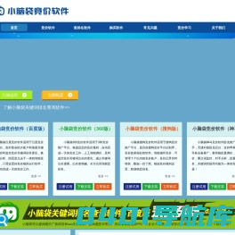 百度竞价调词软件,小脑袋自动智能调价调词助手工具，竞价软件助手领跑者！