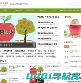 99苹果期货网-国内专业的苹果期货学习网站
