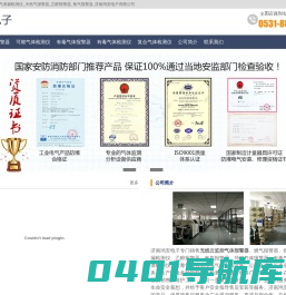 燃气报警器_煤气报警器_燃气泄漏检测仪_天然气报警器_乙醇报警器_氧气报警器_济南鸿安电子有限公司