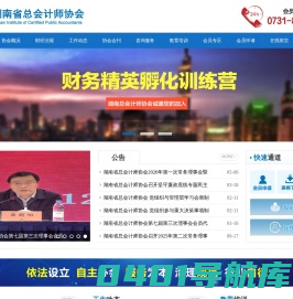 湖南省总会计师协会