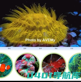 海友网CMF-海水观赏鱼网