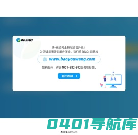 保险