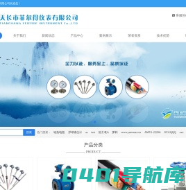 天长市菲尔得仪表有限公司