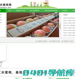 南汇8424西瓜_南汇玉菇甜瓜-南汇水蜜桃价格