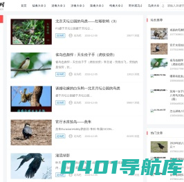 花鸟吧专注鸟类爱护，鸟类饲养，鸟类知识大全，鸟类大全，鸟类网