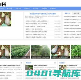 花欢网