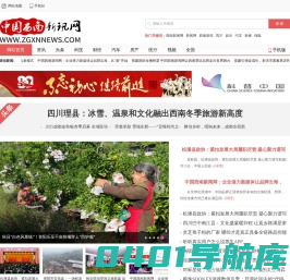 中国西南新闻网