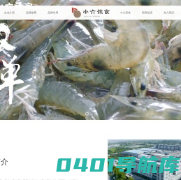 小六饮食