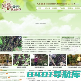 嘉宝果|树葡萄|嘉宝果苗|台湾嘉宝果价格|☆顺滔花木园艺☆