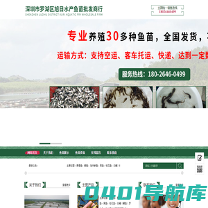 深圳市罗湖区旭日水产鱼苗批发商行
