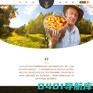 爱拉明食品