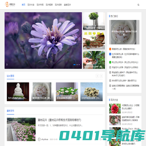 硕呱花卉市场-义乌市恣沸