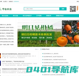 明日见柑橘_爱媛46号_最新柑橘新品种 - 柑橘新品网 - 眉山市苧金农业发展有限公司