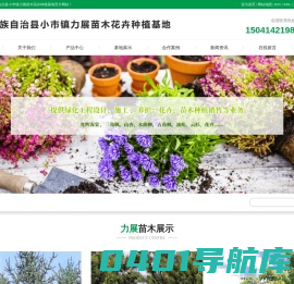 辽宁苗木_本溪苗木批发_本溪五角枫_辽宁花卉-本溪满族自治县小市镇力展苗木花卉种植基地