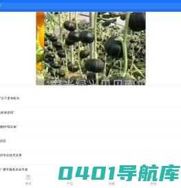 松际农网