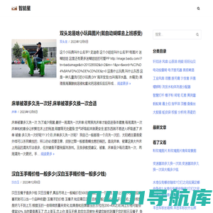 智能星