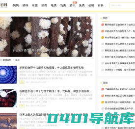 宠物百科 - 您身边的养宠专家