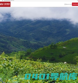 首页 | 大益集团官网