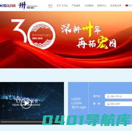 江苏飞力达国际物流股份有限公司