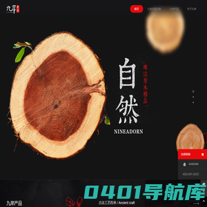 宁波九岸家居装饰有限公司