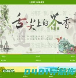 桑茶-七彩贝壳桑叶茶 长寿茶