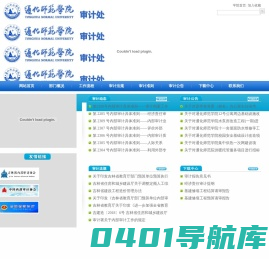 通化师范学院审计处-网站首页