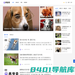 养宠号 - 为宠物爱好者提供服务