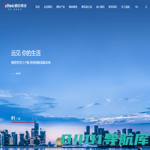 德信控股集团有限公司