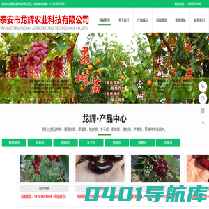 樱桃苗，苹果苗 - 泰安市龙辉农业科技有限公司