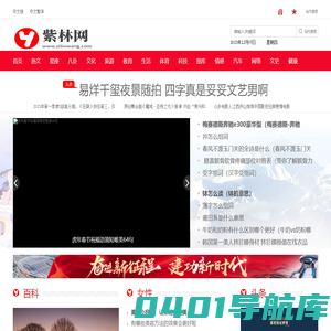 紫林网