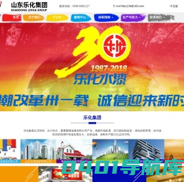 山东乐化集团