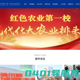 国际文化教育学院