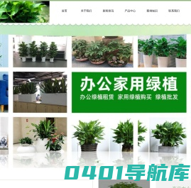 金坛绿植物租赁_金坛花卉租赁_金坛绿化养护_金坛绿植园艺有限公司
