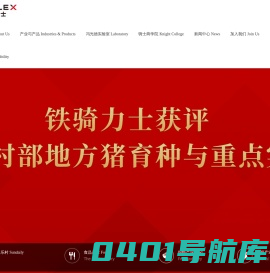 铁骑力士