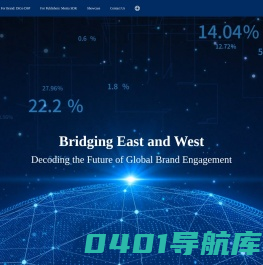 DSP|PMP|商业化|效果网盟|信息流投放|程序化广告|广告投放-vlion瑞狮网络