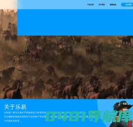 深圳市乐易网络股份有限公司