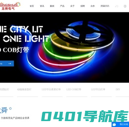 皮线灯_LED造型灯_LED图案灯_LED装饰灯厂家-中山市龙舜电气科技有限公司