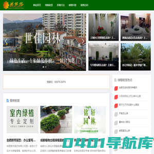 花芭莎 - 专注办公室绿植租赁和盆栽花卉租摆