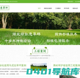 马尼拉草坪多少钱一方一平米_果岭草草坪价格★武汉绿如意★宜昌草皮基地还有孝感百慕大、黄石台湾青