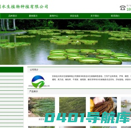 水生植物_沉水植物_人工浮岛-_浮动湿地-天利水生植物